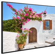 QN65B/4 65" Professional Display VESTEL