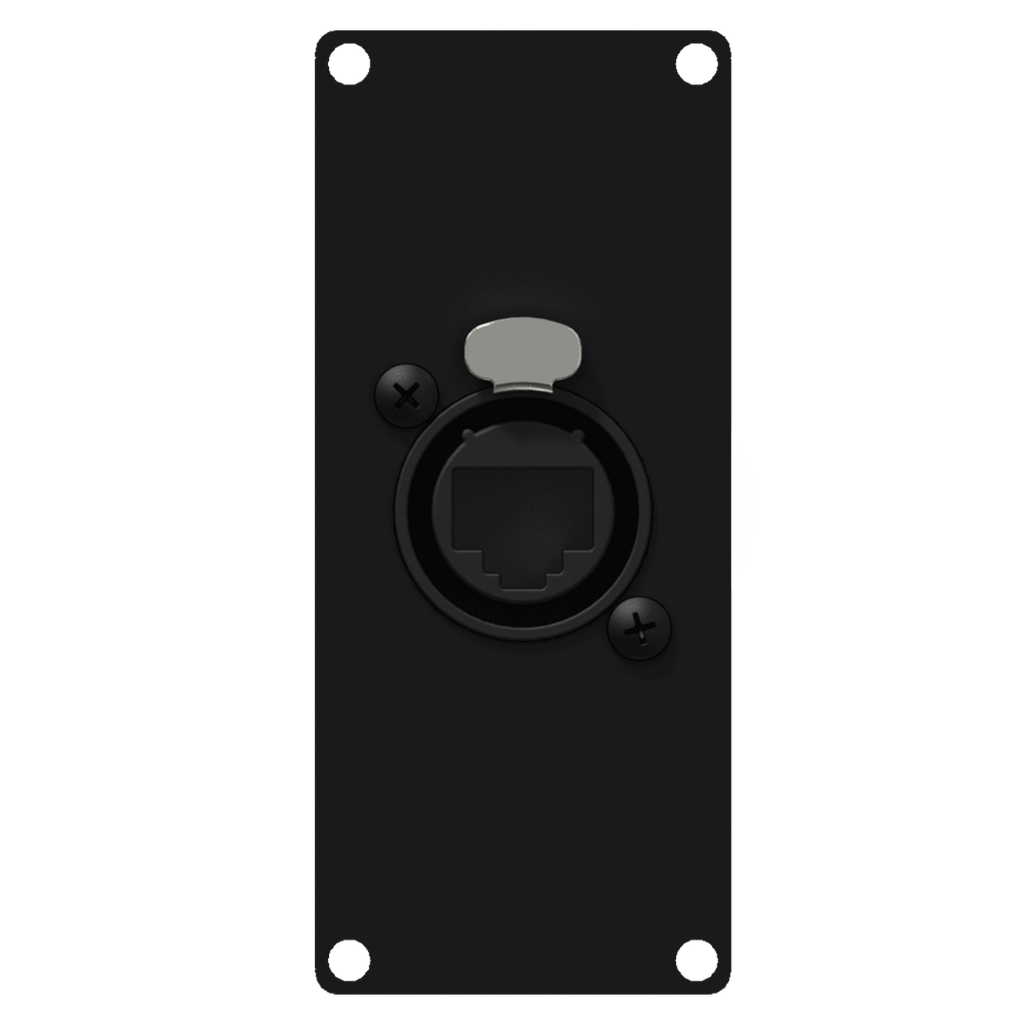 CASY167/B Caymon 1 Unit Afdekplaat met EtherCON naar RJ-45