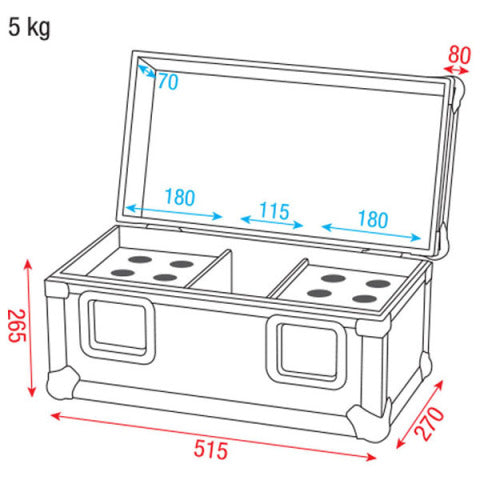 ACA-MIC5 DAP AUDIO CASE FOR 12 MICRO'S
