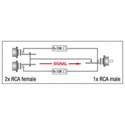 XGA38 2 X RCA VROUWELIJK NAAR RCA MANNELIJK DAP AUDIO