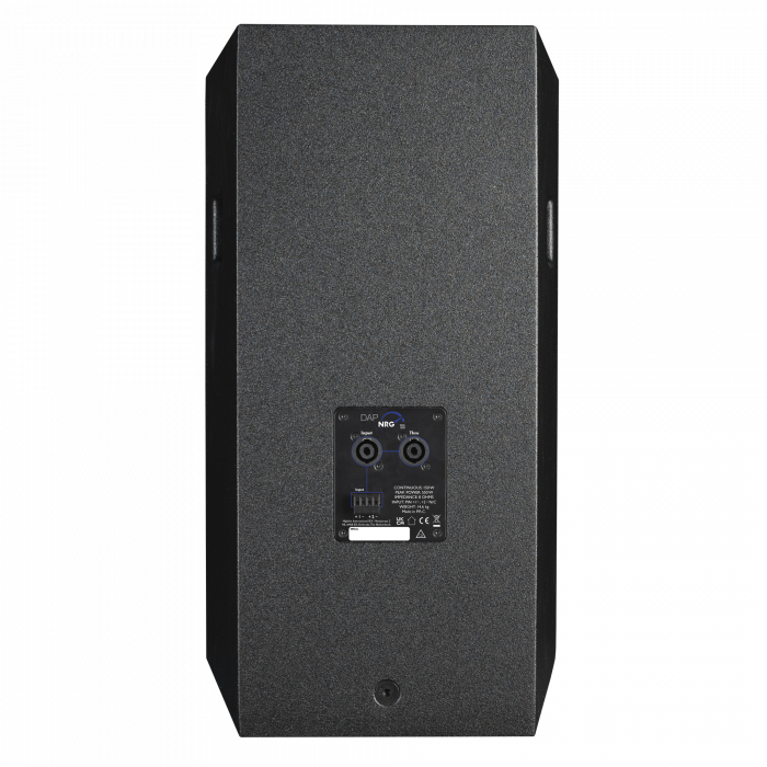 NRG-12 DAP 12-inch Passieve luidspreker 