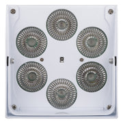 Accu Color Wit JB-Systems 