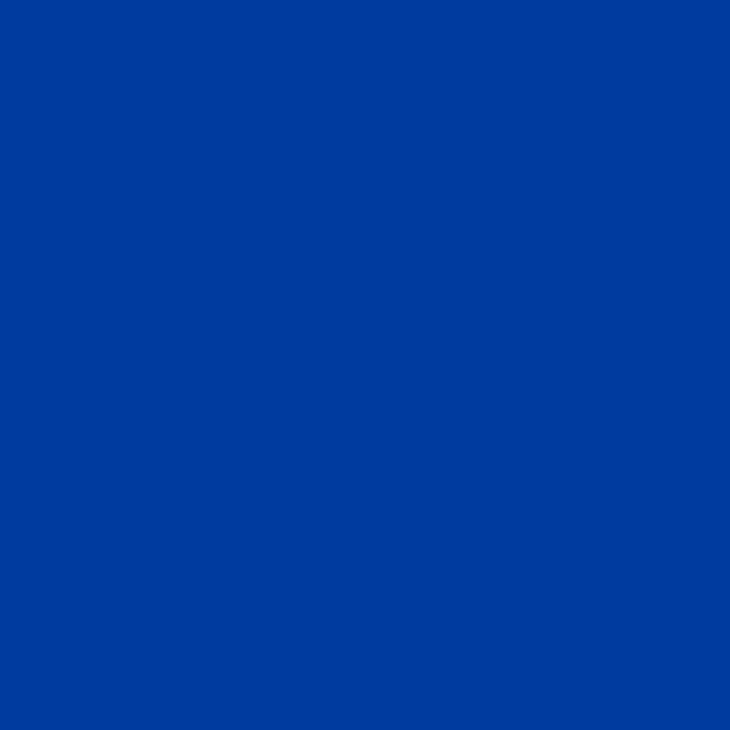 E-COLOUR #713 WINTER BLUE ROSCO